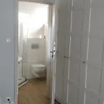 Проживание в семье Orkan *