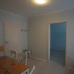 Проживание в семье Orkan Кузница